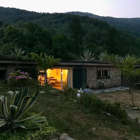 With Big Garden *
