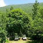 With Big Garden Appartamento