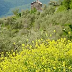 With Big Garden