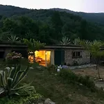 With Big Garden *