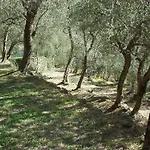 With Big Garden