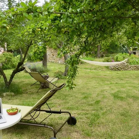 With Big Garden Gazzelli