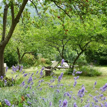 With Big Garden * Gazzelli