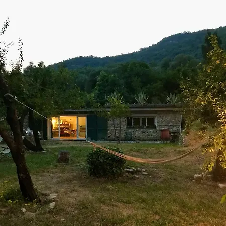 With Big Garden Apartamento *
