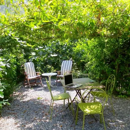 With Big Garden