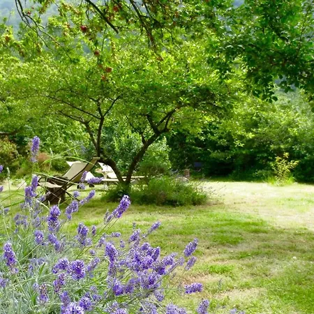 With Big Garden Appartamento Gazzelli