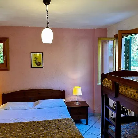 With Big Garden Gazzelli