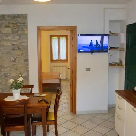 With Big Garden Apartment