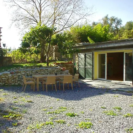 With Big Garden Apartment