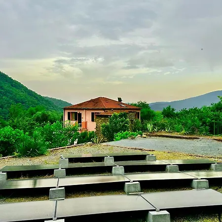 Apartment With Big Garden *