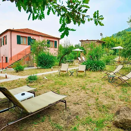 With Big Garden * Gazzelli