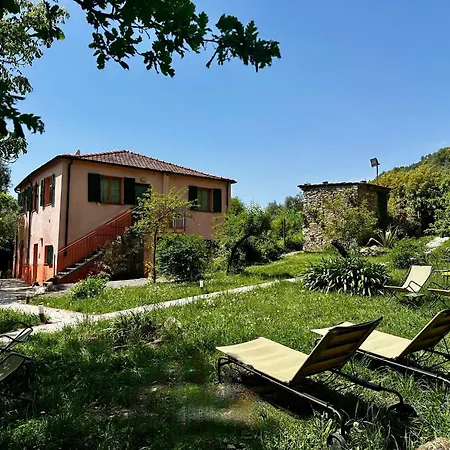 With Big Garden