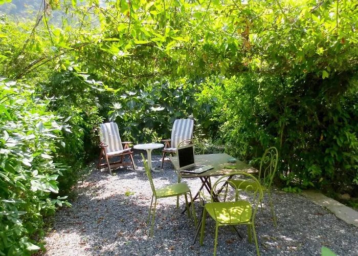 With Big Garden