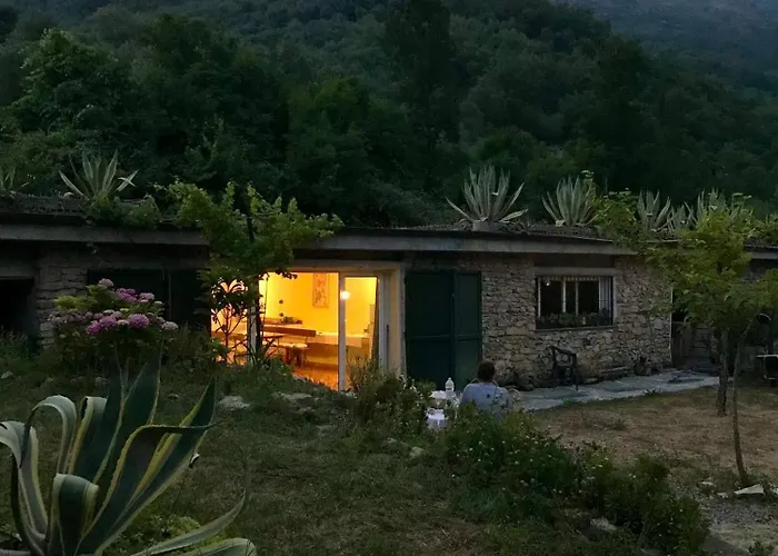 With Big Garden *