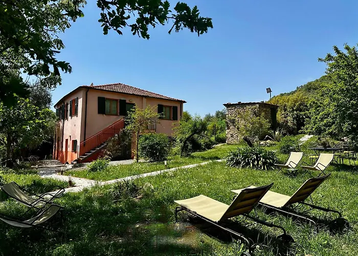 With Big Garden